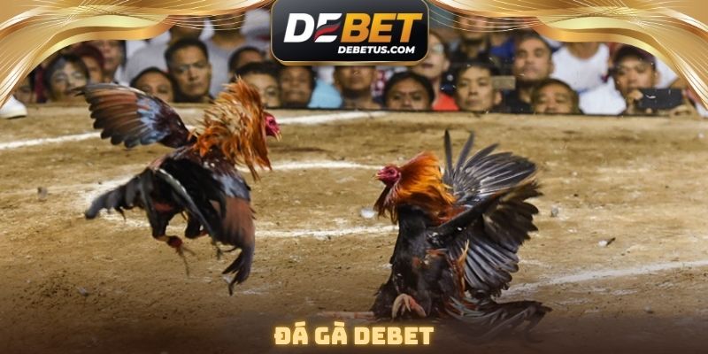 Đá Gà DEBET - Tụ Điểm Phát Sóng Đấu Chọi Uy Tín Số 1